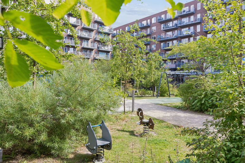 Property image number 11