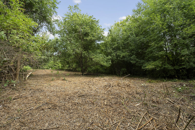 Property image number 5