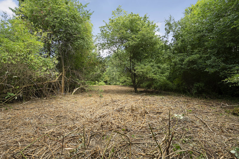 Property image number 6