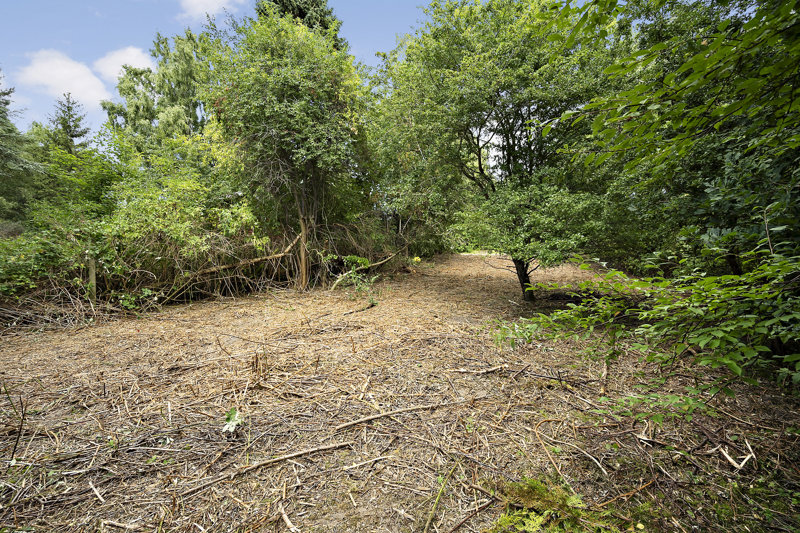 Property image number 7
