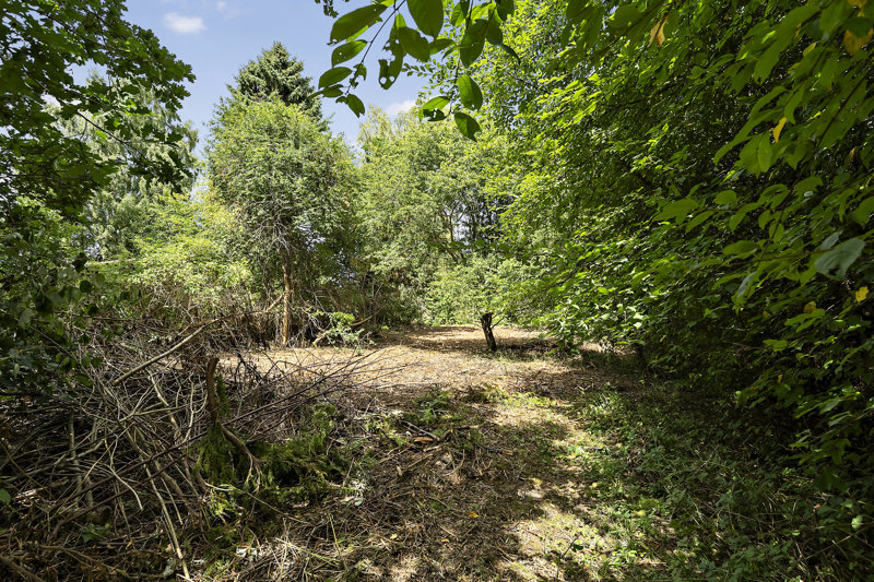 Property image number 8