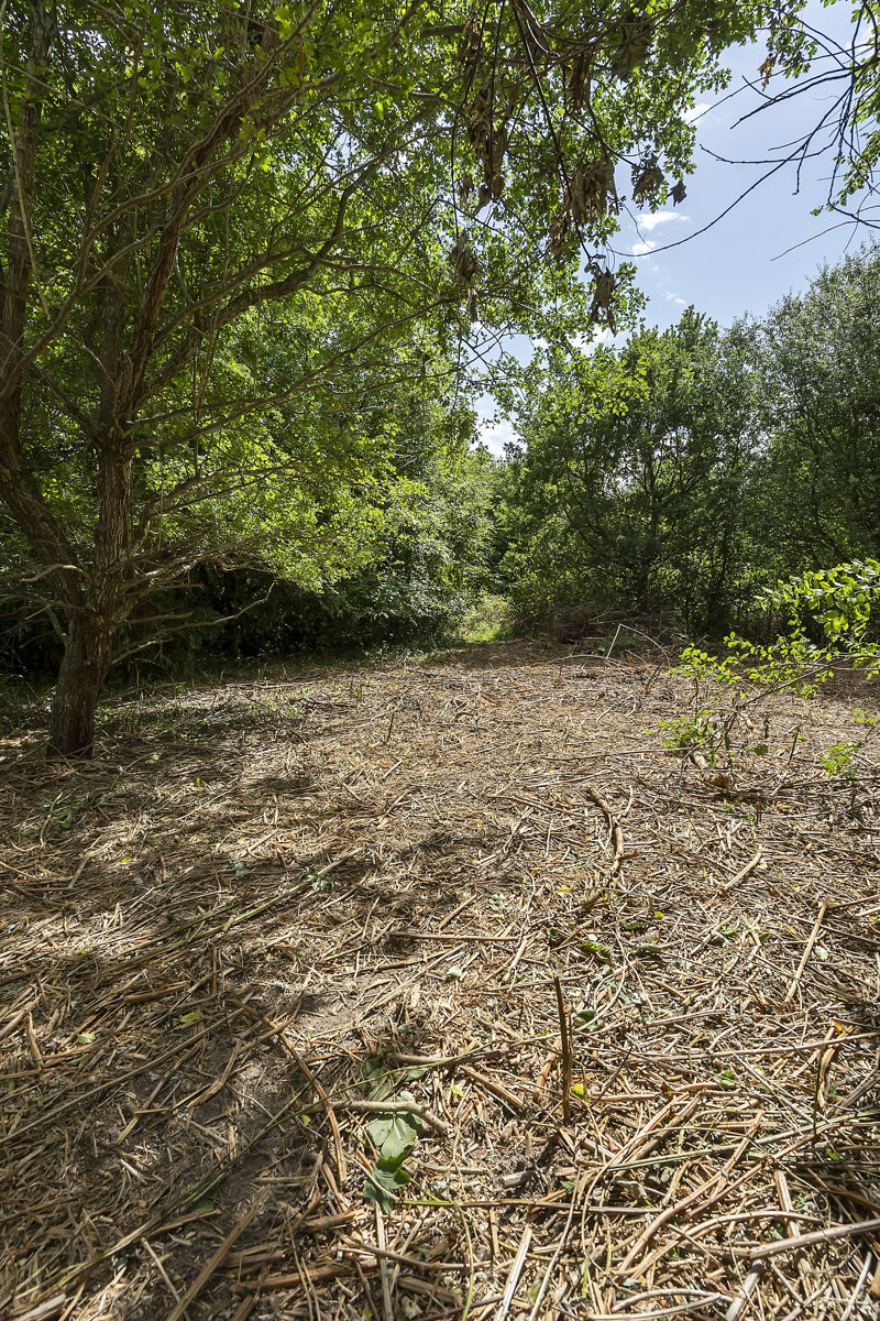 Property image number 9