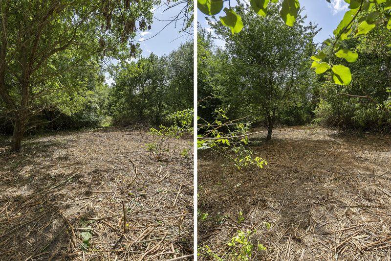 Property image number 3
