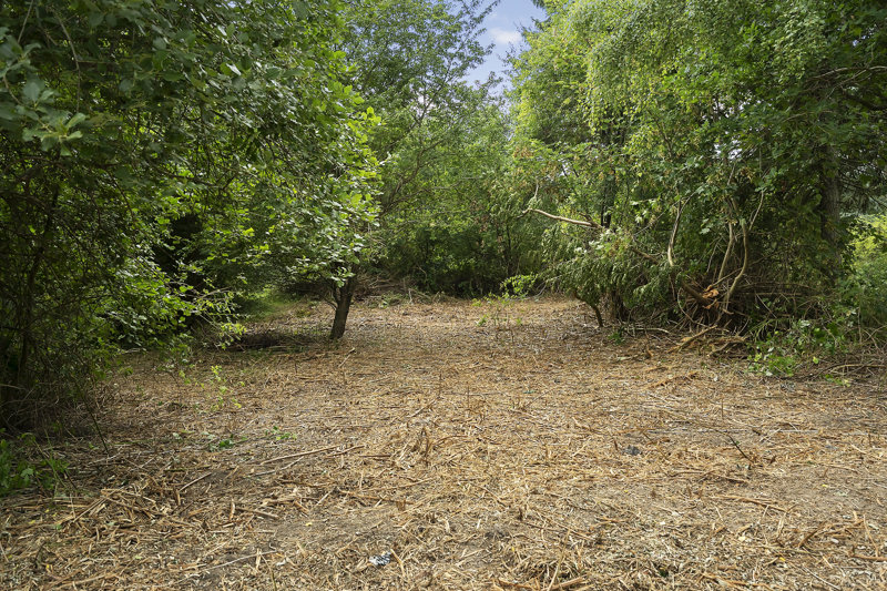 Property image number 4