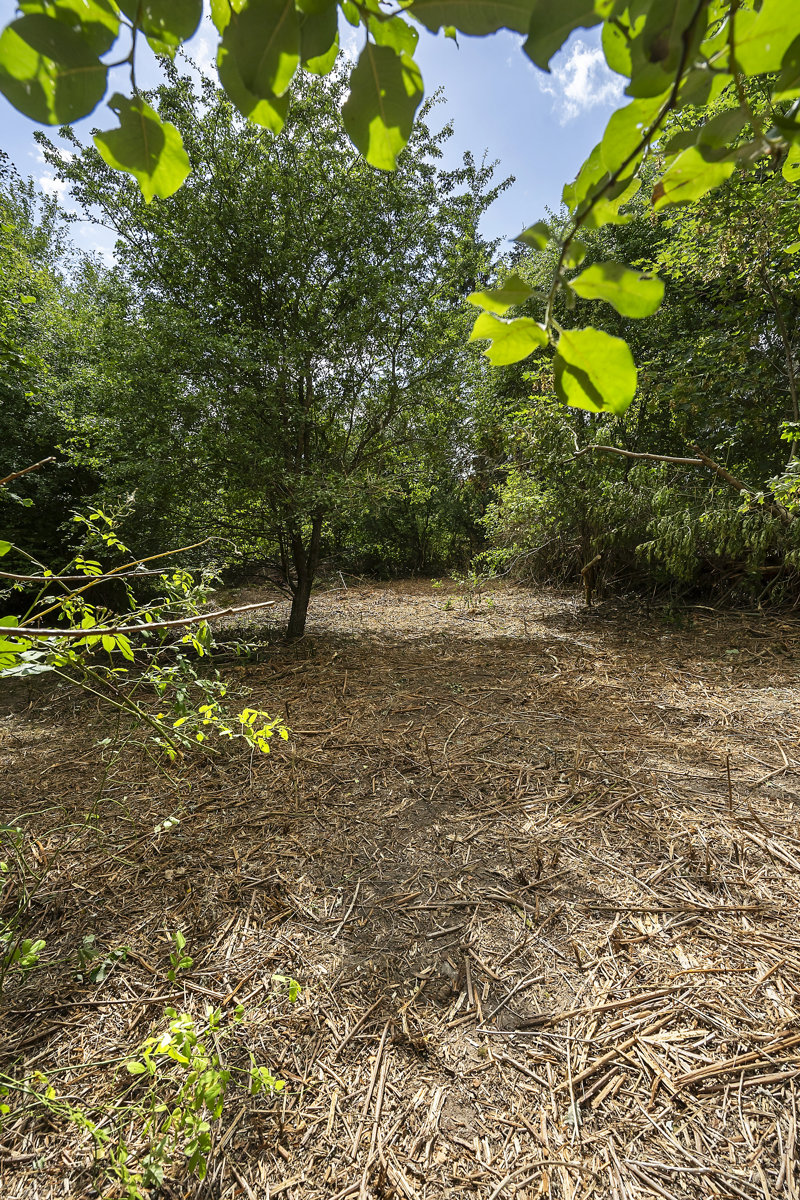 Property image number 10