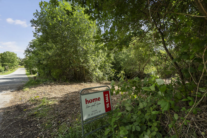 Property image number 11