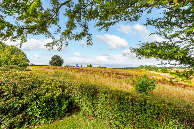 Property image number 3