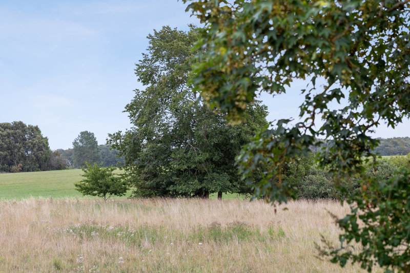 Property image number 2
