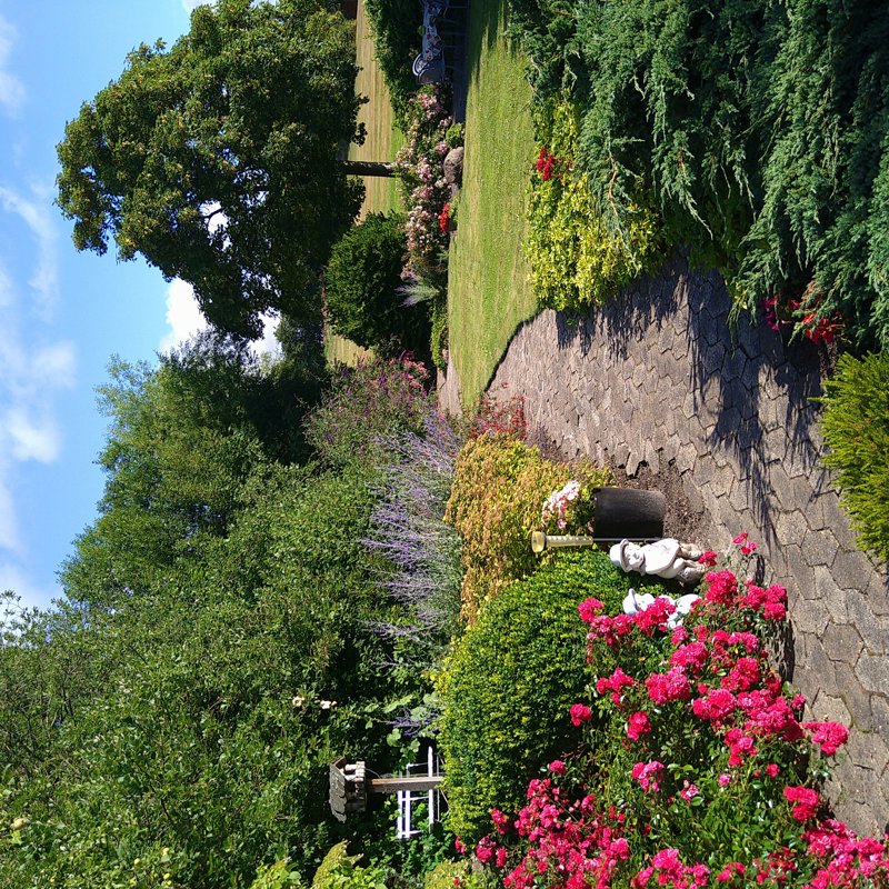 Property image number 6