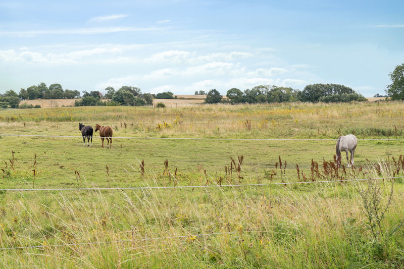 Property image number 11