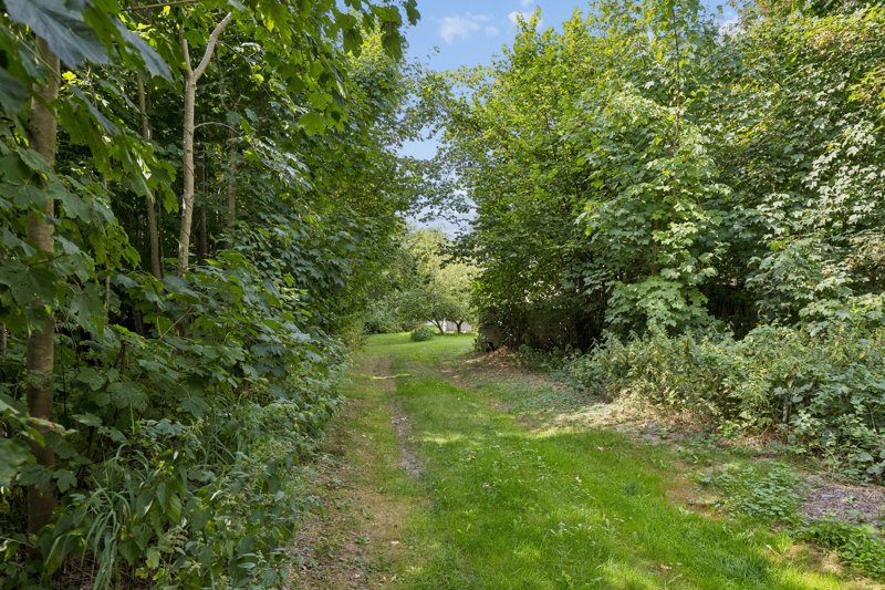 Property image number 8