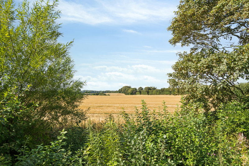 Property image number 3