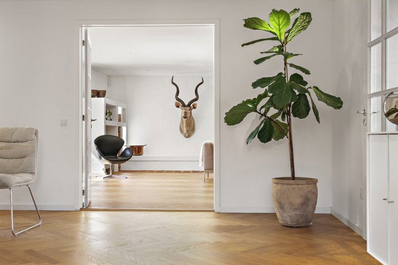 Property image number 8