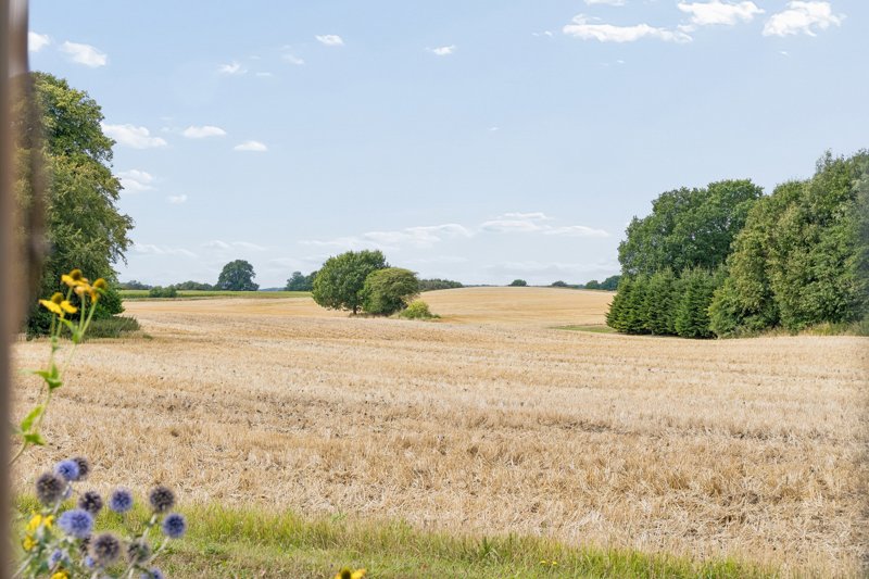 Property image number 3