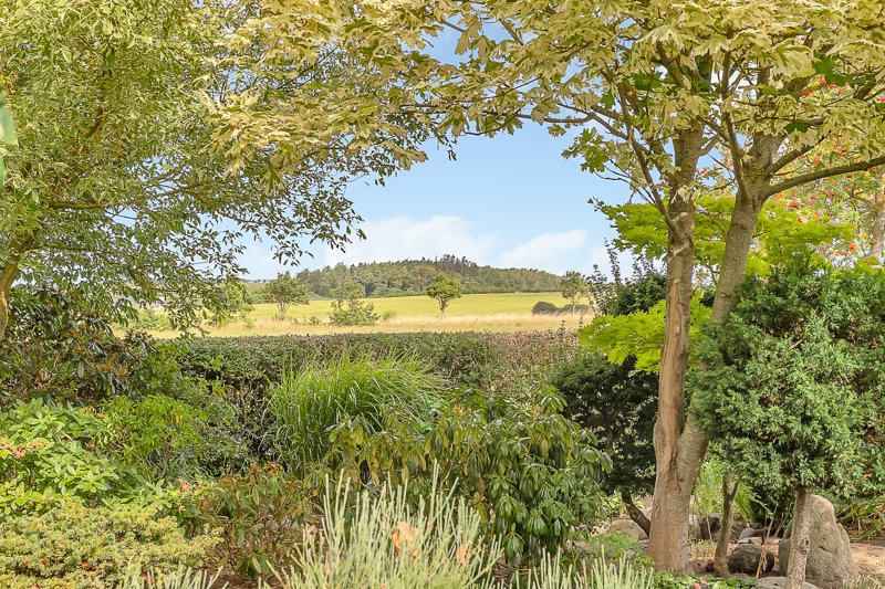 Property image number 2