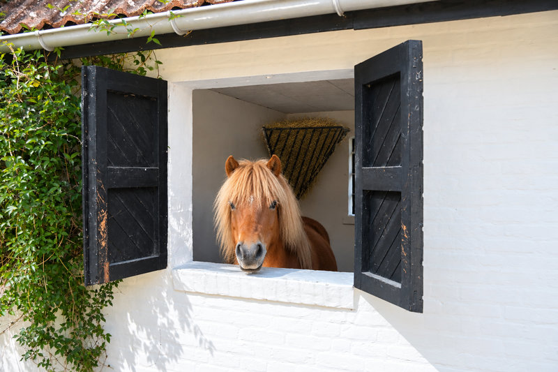 Property image number 10