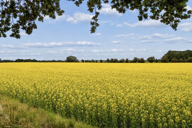 Property image number 2
