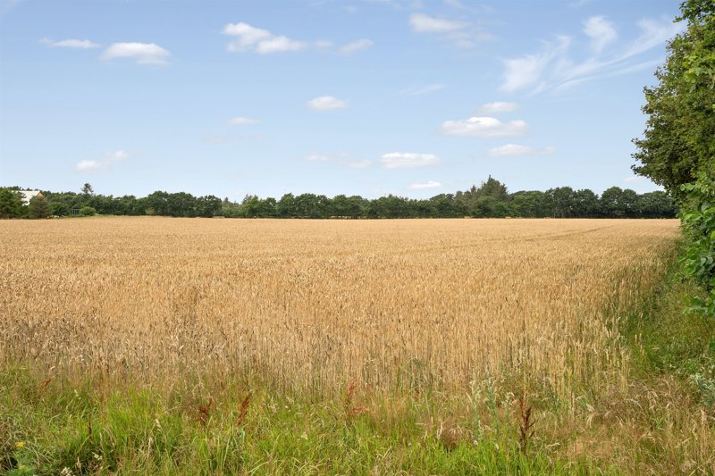 Property image number 3