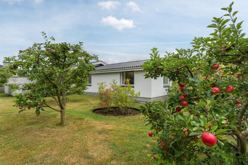 Property image number 2