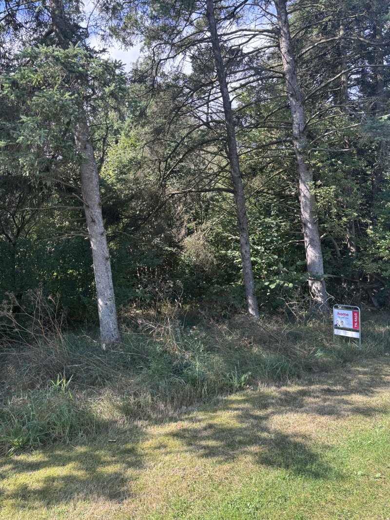 Property image number 6