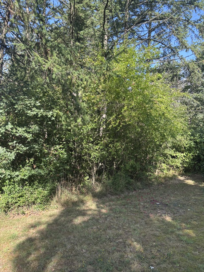 Property image number 2