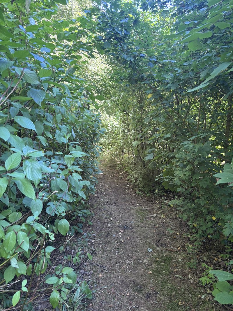 Property image number 4
