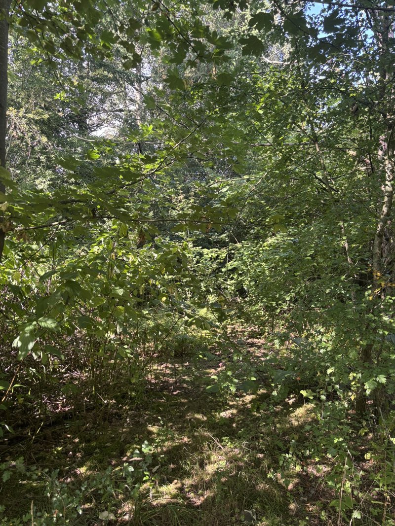 Property image number 7