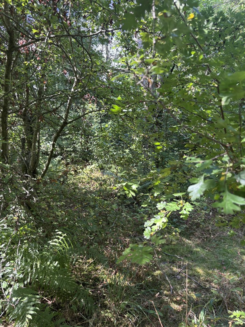 Property image number 5