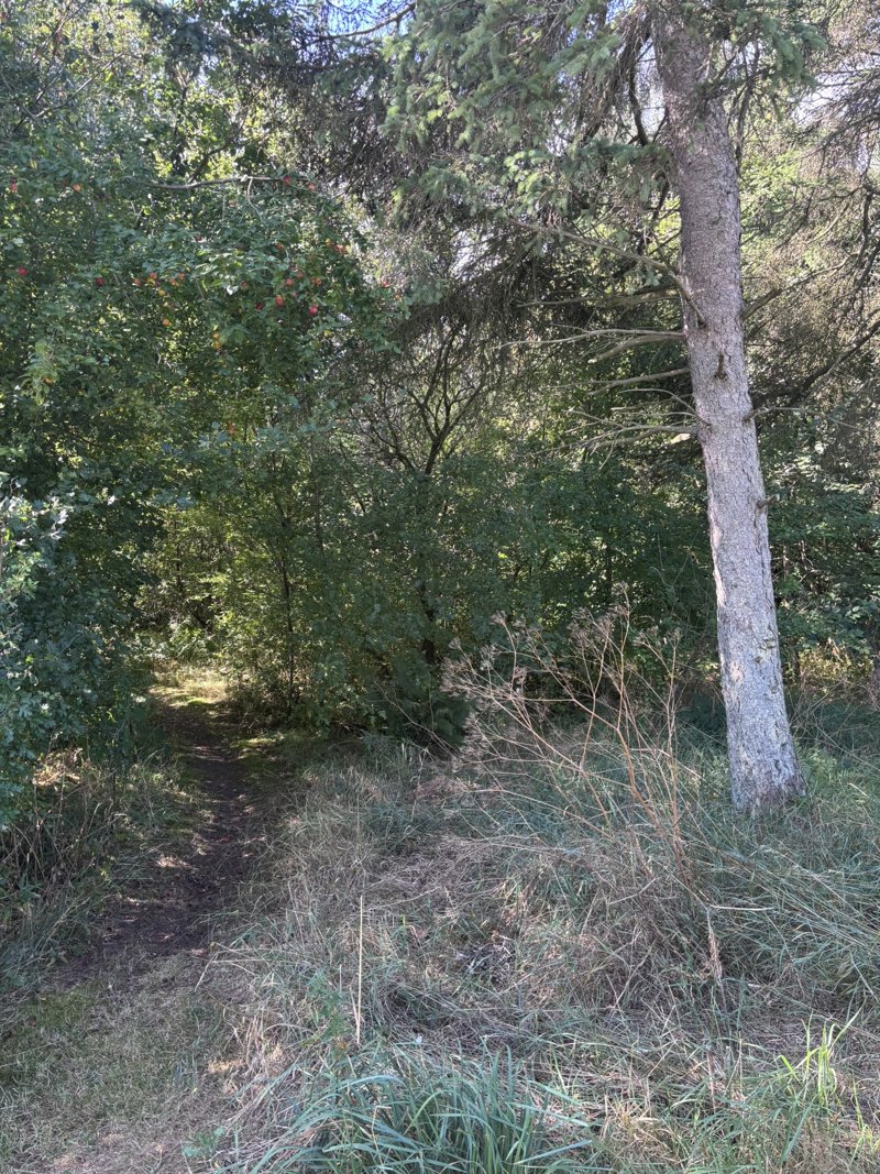 Property image number 3