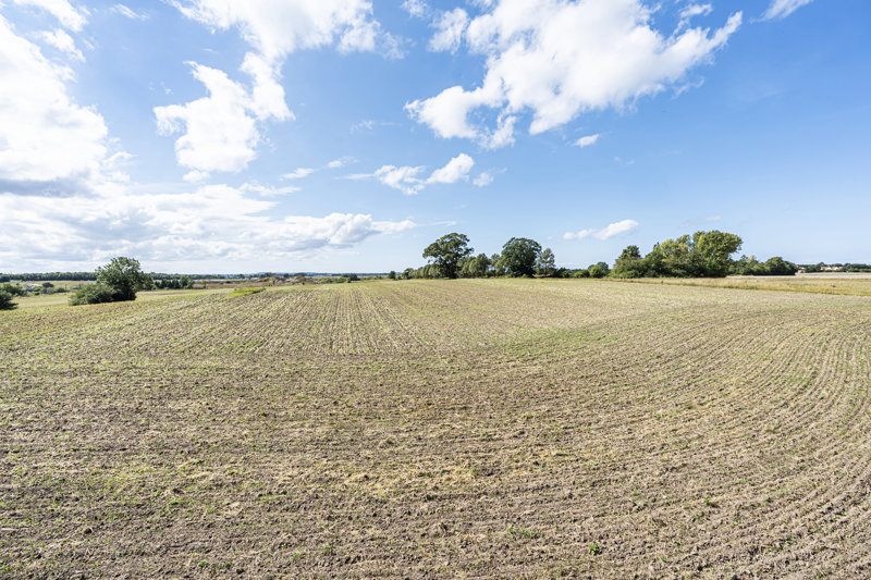 Property image number 6