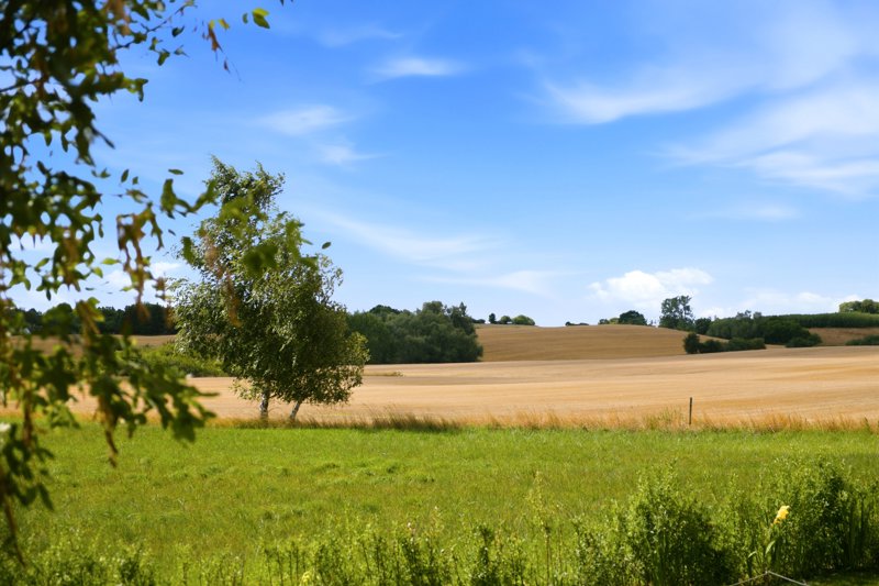 Property image number 2