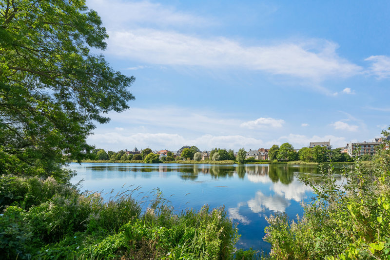 Property image number 3