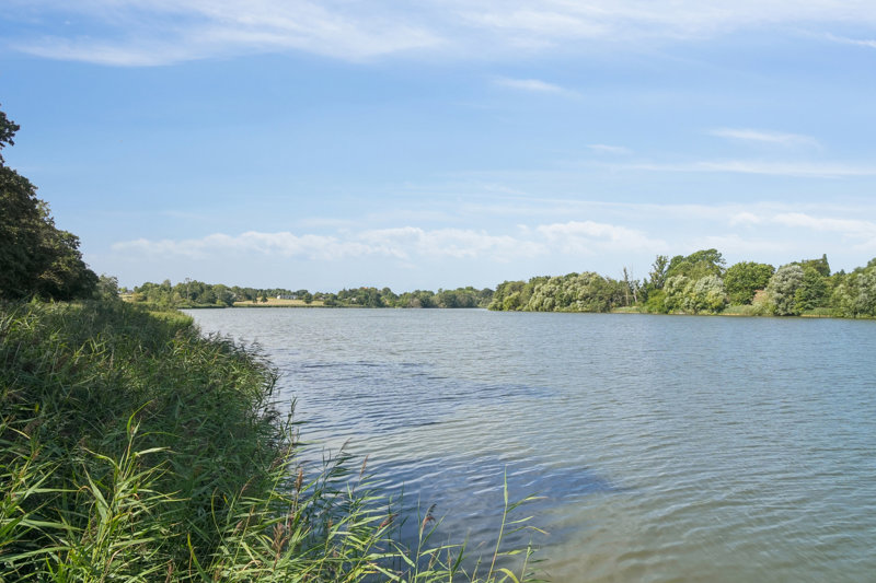 Property image number 6