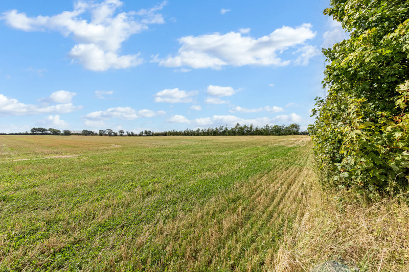 Property image number 5