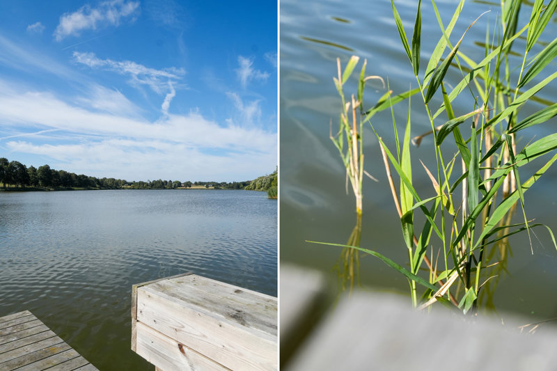 Property image number 5