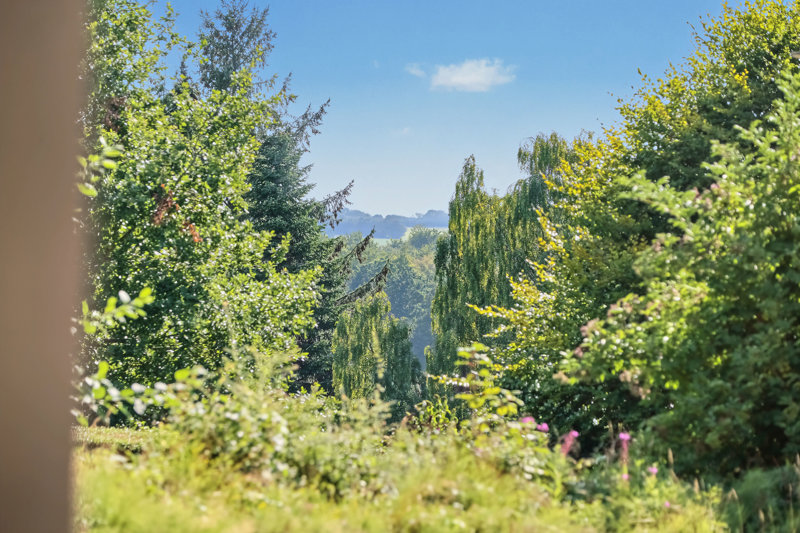 Property image number 3