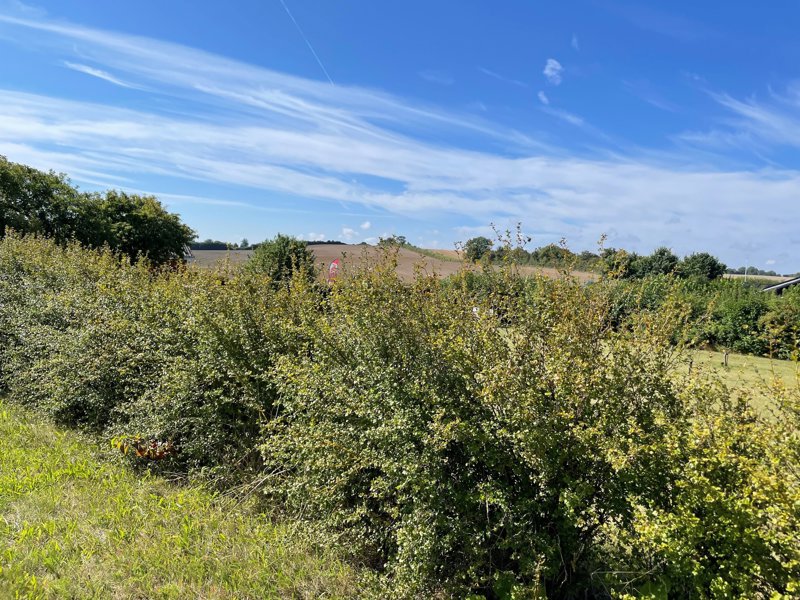 Property image number 1