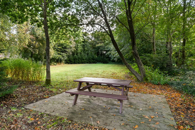 Property image number 11