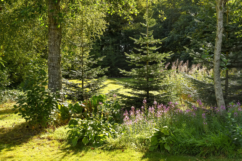 Property image number 10