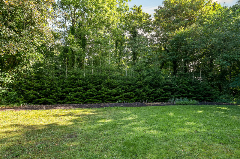 Property image number 4