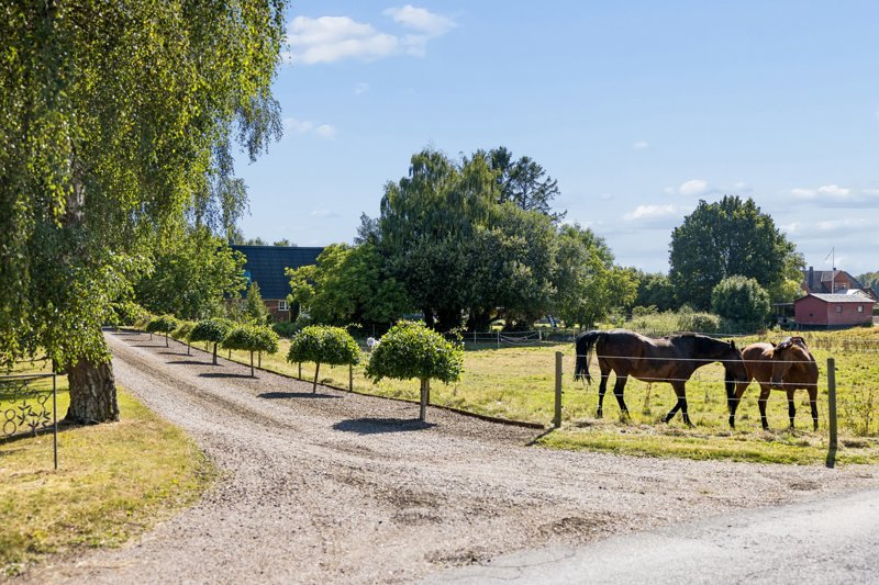 Property image number 2