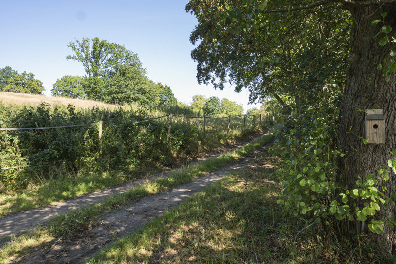 Property image number 7