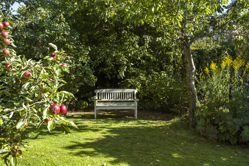 Property image number 4