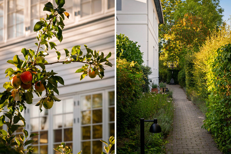Property image number 3