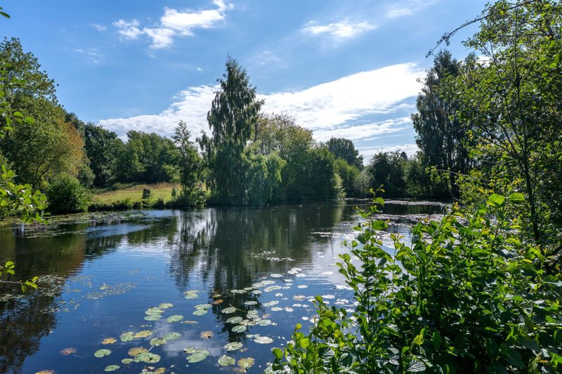 Property image number 6