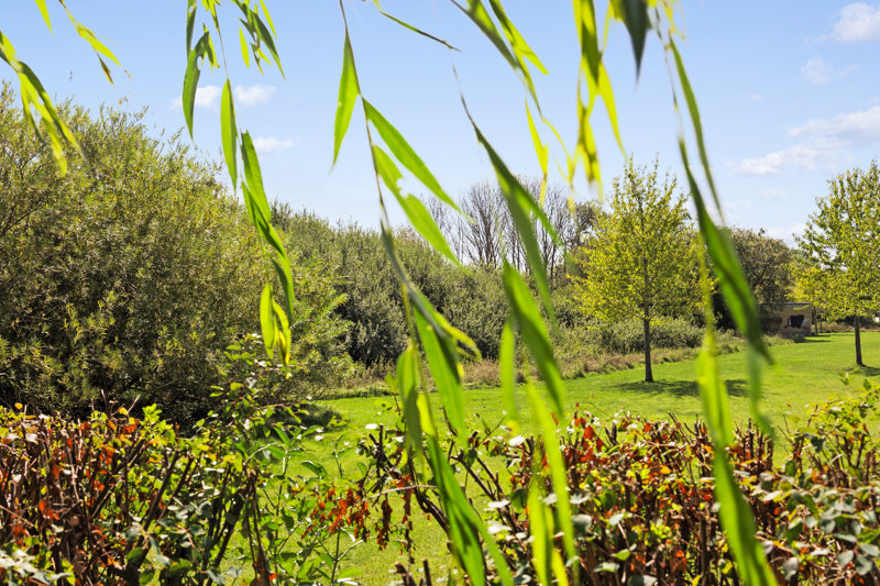 Property image number 8