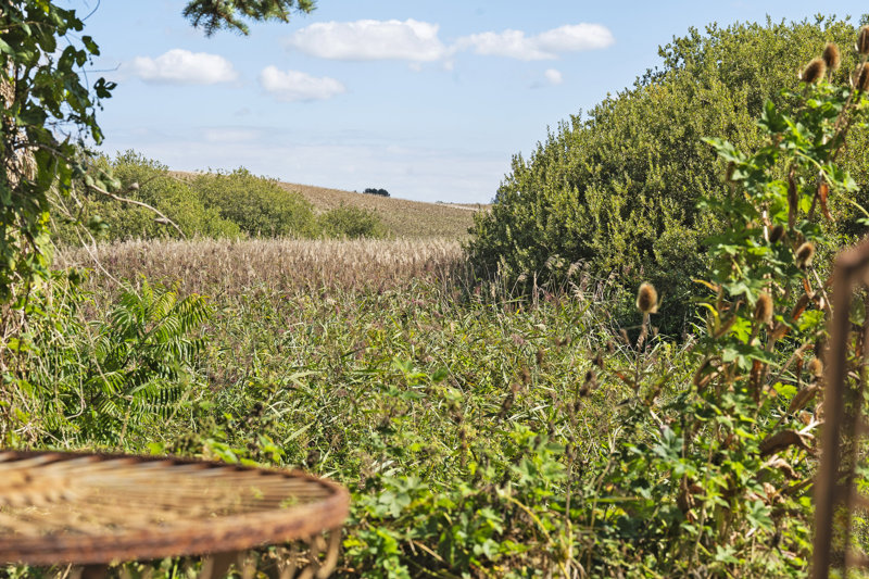 Property image number 7