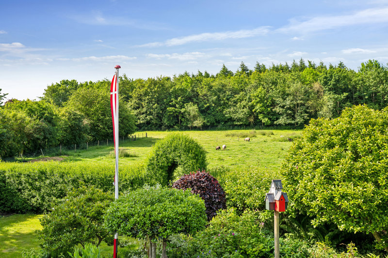 Property image number 7