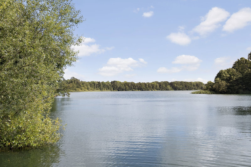 Property image number 2