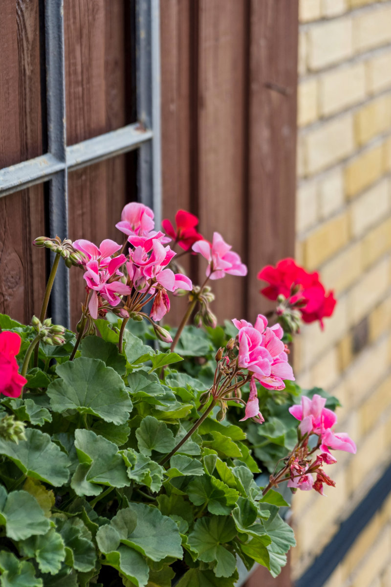 Property image number 2